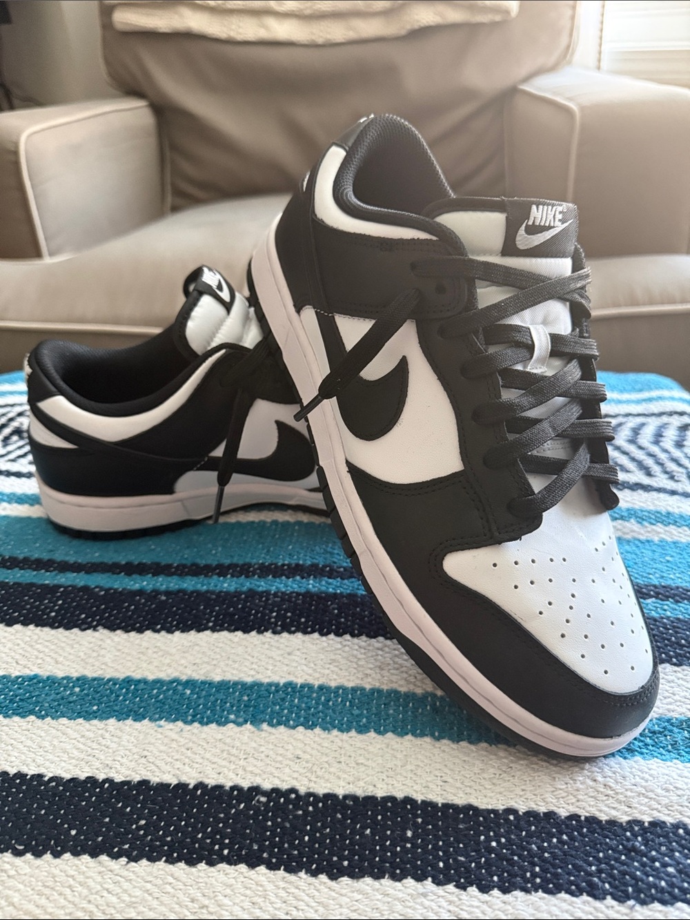 Nike Women’s Black and White Low-Top Skate Sneakers